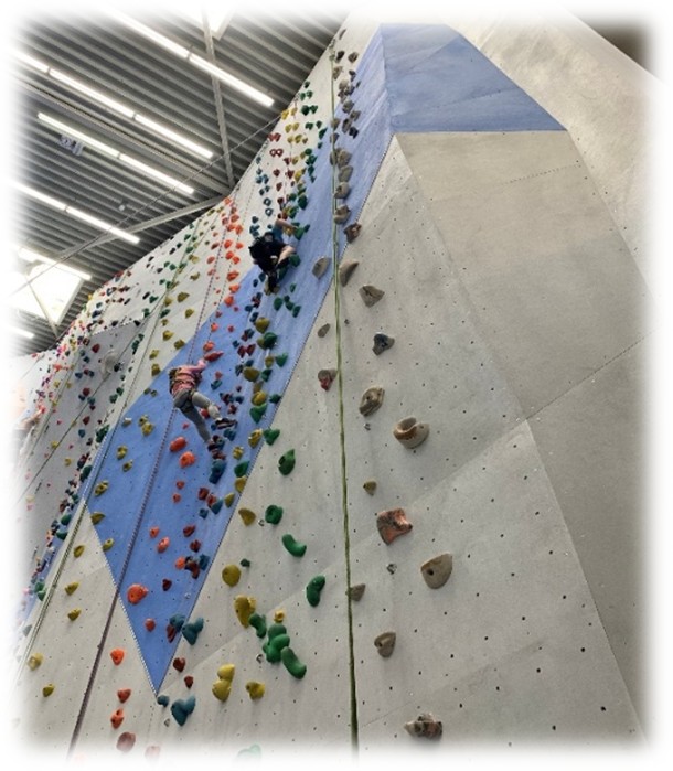 Es zeigt eine Kletterwand in einer Boulderhalle. wo zwei junge Menschen gesichert an Seilen an der Wand hochklettern. 